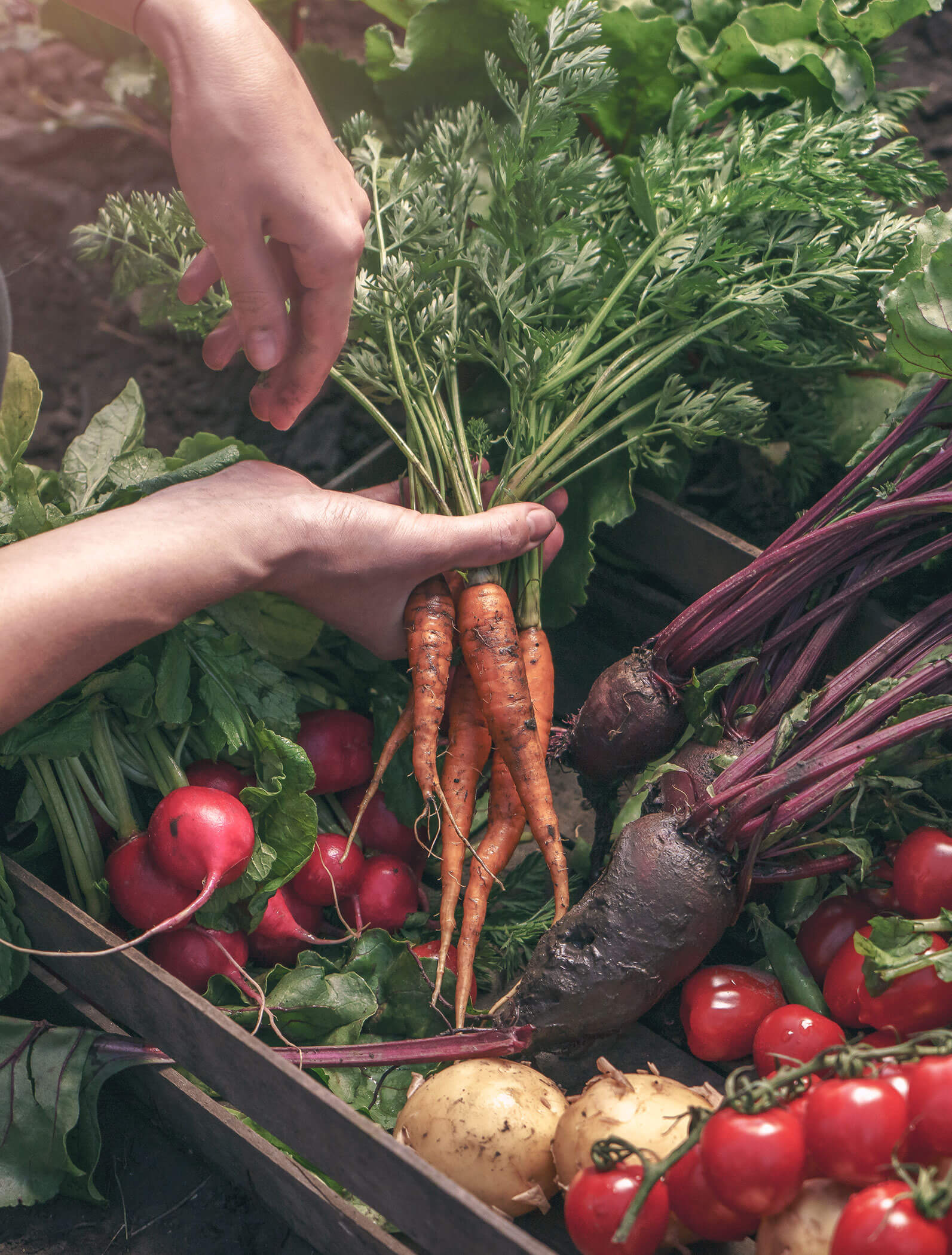 Highlight - Local twist